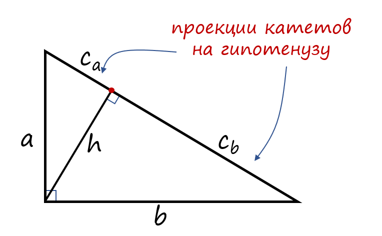 соответственные стороны